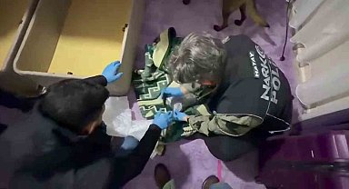 Battaniyeye zulalanan uyuşturucuyu narkotik köpeği buldu
