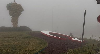 Besni'de yoğun sis hayatı olumsuz etkiledi