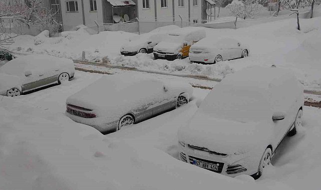 Bitlis'te 165 köy yolu kardan kapandı