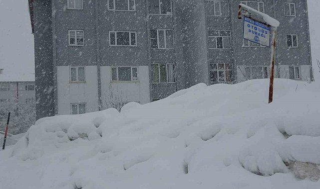 Bitlis'te 304 köy yolu kar nedeniyle ulaşıma kapandı