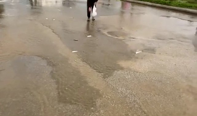 Bodrum'da sağanak baskını: Gölet taştı, asfalta balık yağdı