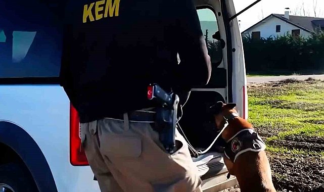 Bolu'da 11 farklı adrese uyuşturucu operasyonu