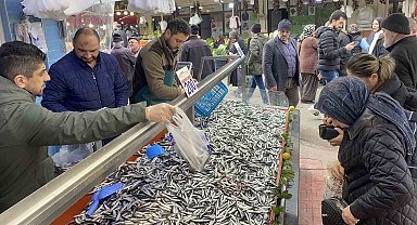 Bolu'da hamsi bolluğu sürüyor: Kilosu 200 liradan rağbet gördü