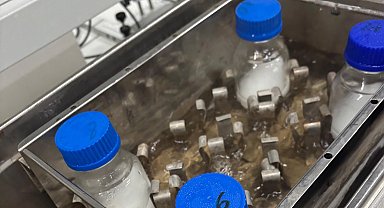 BTÜ'lü öğrenciler atık nişastadan ambalaj film üretti