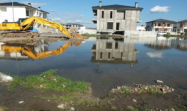 Burhaniye' de çevre felaketi yaşanıyor