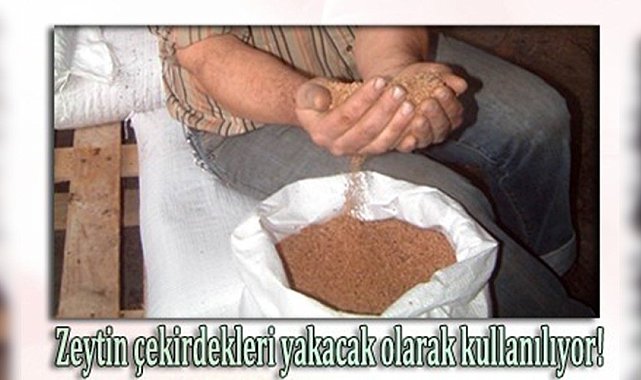Burhaniye'de zeytin çekirdekleri Yunanistan'a ihraç ediliyor