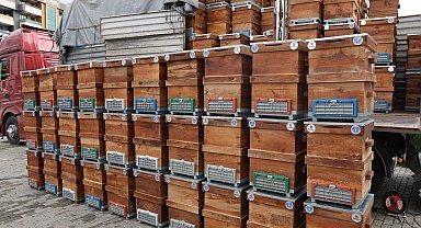 Bursa Büyükşehir'den arıcılara kovan desteği