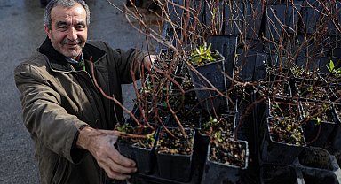 Bursa Büyükşehir'den kırsala fide ve fidan desteği sürüyor