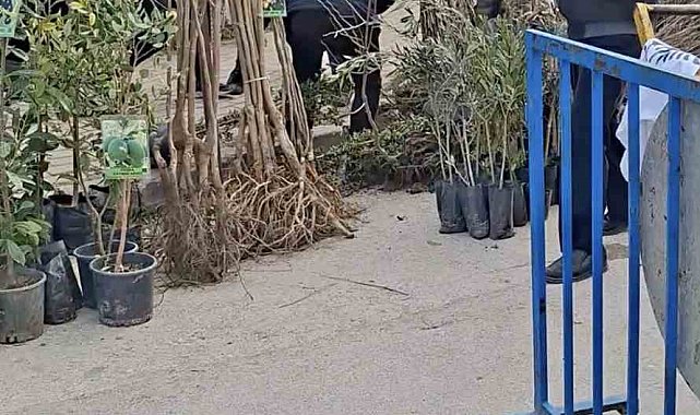 Bursa'da seyyar satıcılardan zabıtaya bıçaklı saldırı, 1 zabıta yaralandı