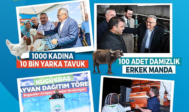 Büyükşehir ile Kayseri, hayvancılıkta yükselişte