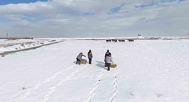 Büyükşehirden 'dilsiz dostlara' merhamet eli: Soğuk günlerde sıcak bir dokunuş