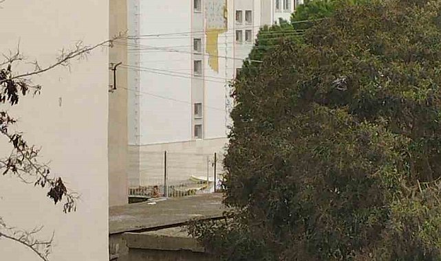 Çanakkale'de fırtına ağaçları devirdi