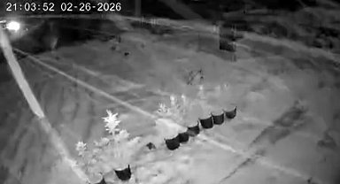 Çankırı'da kar yağışı etkili oluyor