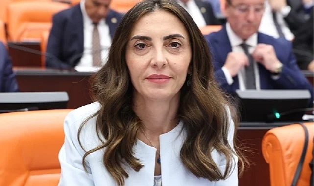 CHP'li Altaca Kayışoğlu'ndan 'alt komisyon' çağrısı