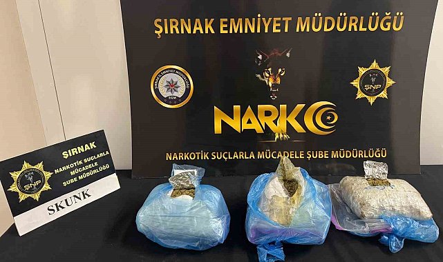 Cizre'de uyuşturucu tacirlerinin "öncü-artçı taktiği" sökmedi