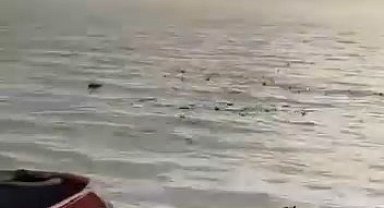 Denizi şehir çöplüğüne çevirdiler