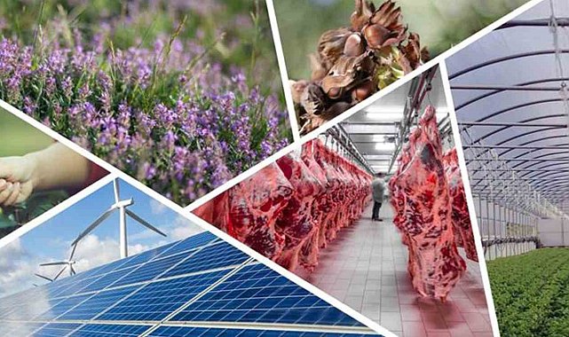Denizli'de tarımsal kalkınmaya 82 milyonluk hibe desteği