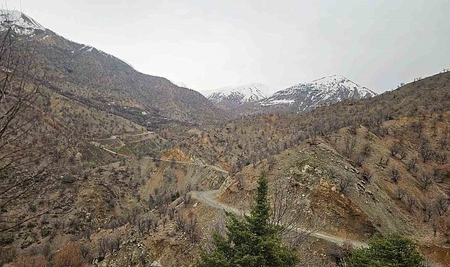 Diyarbakır'da kayıp yaşlı adam 11 gündür aranıyor