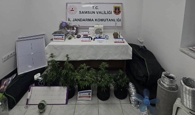 Elbise dolabında özel iklimlendirme sistemiyle uyuşturucu serası