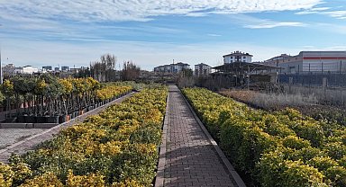 En büyük lojistik üssü fidanlığı Kayseri Kocasinan'da