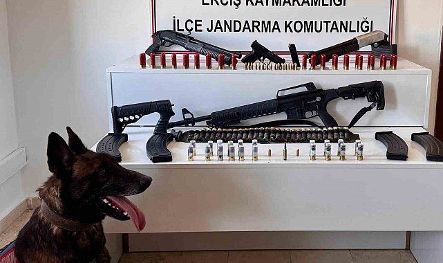 Erciş'te ruhsatsız silah ele geçirildi