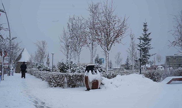 Erzurum'da kar yağışı etkili oluyor