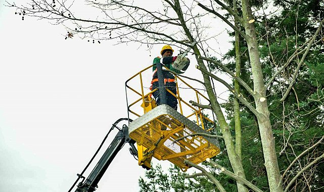 Esenyurt'ta bahar hazırlıkları başladı: Ağaçlar budanıyor