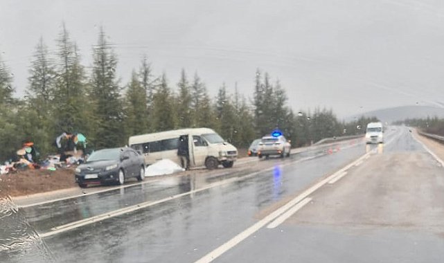 Eskişehir- Afyonkarahisar yolunda kontrolden çıkan minibüs şarampole savruldu