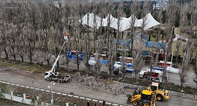 Eskişehir Büyükşehir'den ağaçlara gençleştirme çalışması