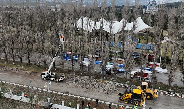 Eskişehir Büyükşehir'den ağaçlara gençleştirme çalışması