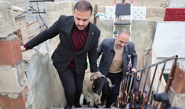 Eyyübiye'de 400 aileye 'koç' sürprizi