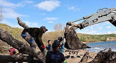 Fırtınada devrilen Ilgın ağaçları yeniden toprakla buluşuyor