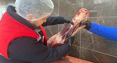 Gıda işletmelerine yönelik denetimler sürüyor