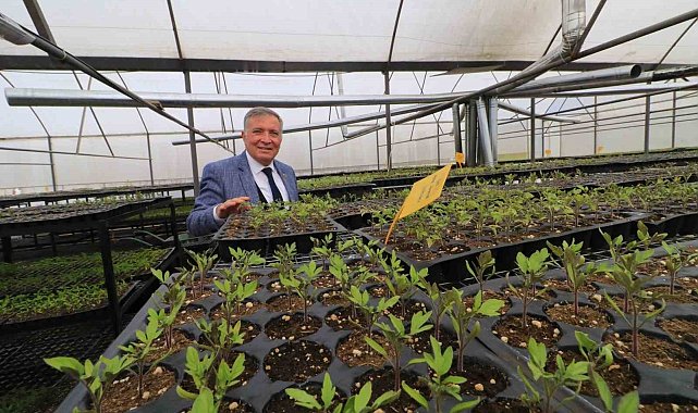 Honaz'da 8 Mart'a özel 8 bin çiçek kadınlara dağıtılacak