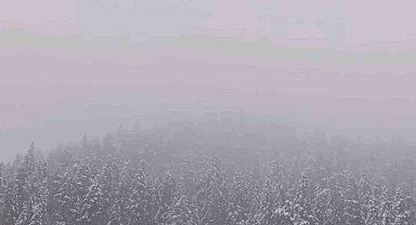 Ilgaz Dağı'nda kar yağışı etkili oldu