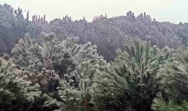 İstanbul'da yüksek kesimlerde kar yağışı başladı