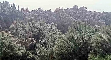 İstanbul'da yüksek kesimlerde kar yağışı başladı