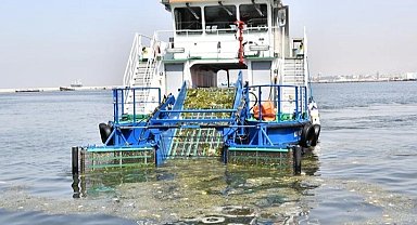 İzmir körfezinde kirlilik alarmı! İzmir Büyükşehir seyirci mi kalıyor?