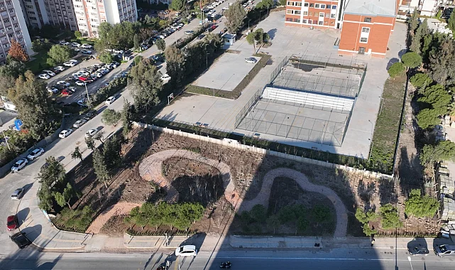 İzmir'de betonun arasından orman çıktı