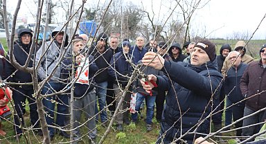 İzmit'te üreticilere uygulamalı budama eğitimi