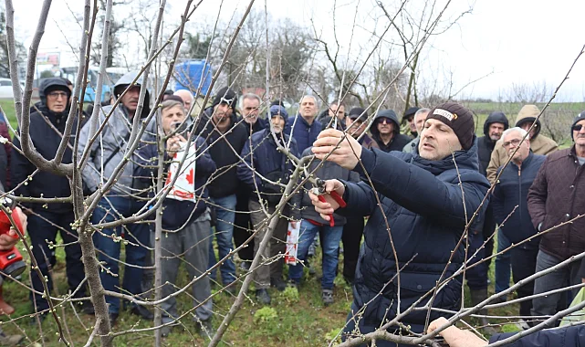 İzmit'te üreticilere uygulamalı budama eğitimi