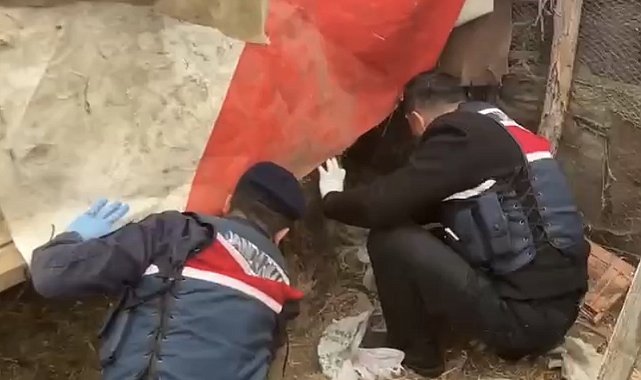 Jandarma, kümese saklanan uyuşturucuyu ele geçirdi: 2 gözaltı