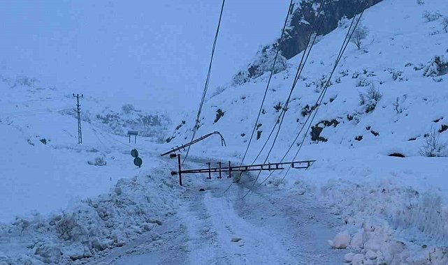 Kar yağışı nedeniyle devrilen 300 elektrik direği yenilendi