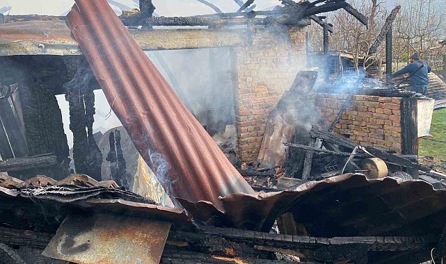 Karabük'te müştemilat yangını: 2 köpek yavrusu telef oldu