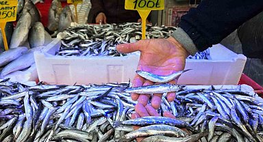Karadeniz'de hamsi bereketi: Tezgahlar iri hamsiyle doldu