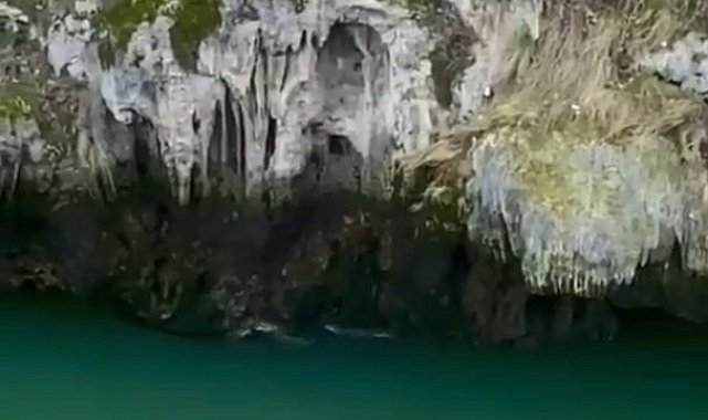 Karakoçan'da su samurları görüntülendi