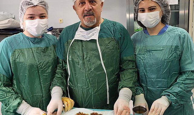 Karın ağrısıyla gitti, safrasından binlerce taş çıktı