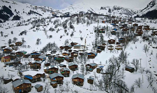 Karlar altındaki doğal yaşam Maden köyünde sanatla buluştu