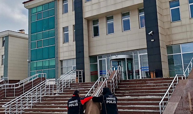 Kars'ta uyuşturucu operasyonu: 6 kilo bonzai üretimi engellendi