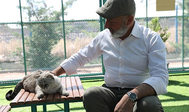Kayseri'de ilk ve tek küçük dostları Kedi Kasabası, ziyaretçi rekoru kırıyor